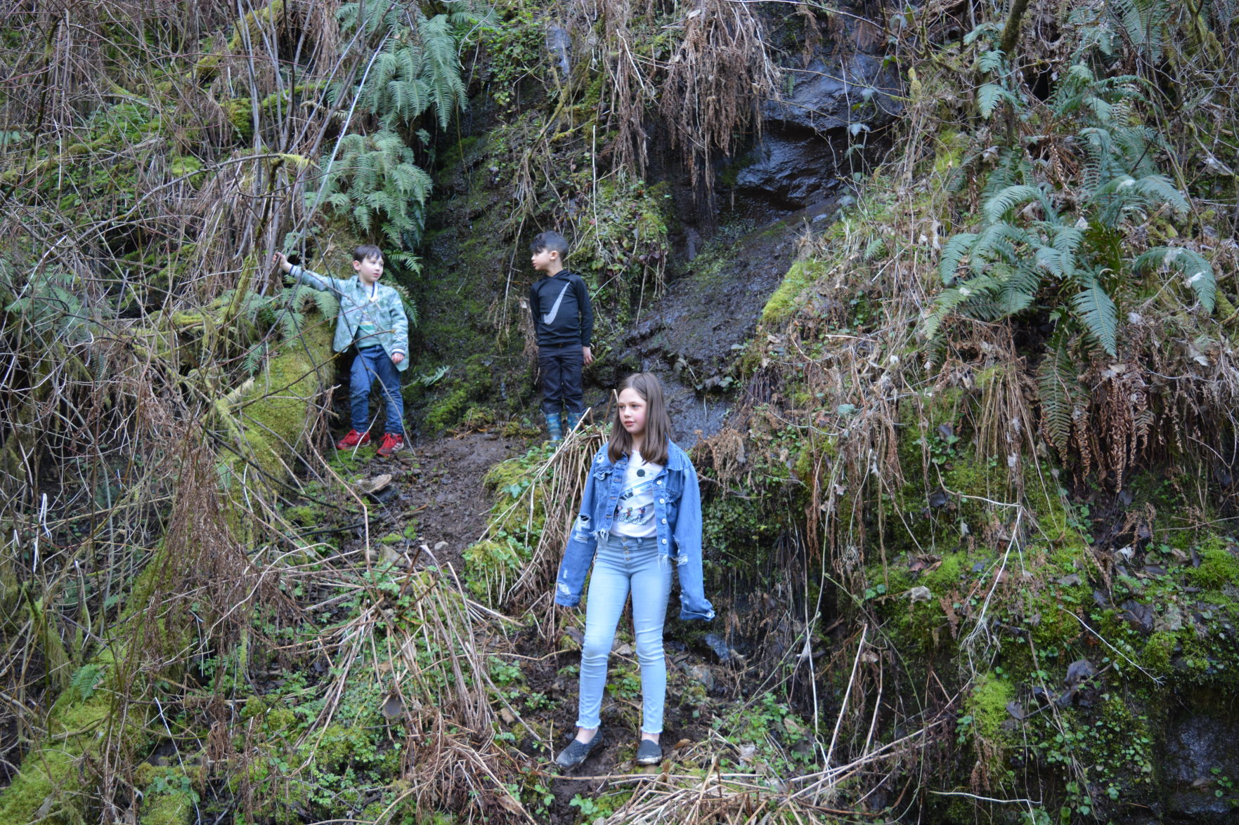 Out in the woods